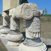 Scopri Metaponto