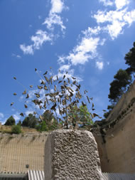 matera_parco_scultura