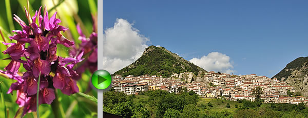 Castelsaraceno - Guarda il video