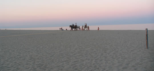 Mare e spiagge di Metaponto