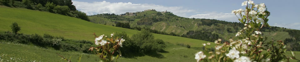 Collina Materana