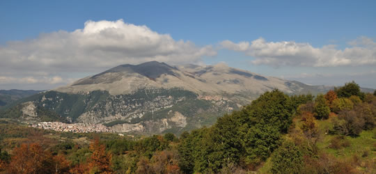 castelsaraceno_festadellamontagna_2011 image