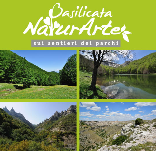 naturarte_basilicata_2013 image