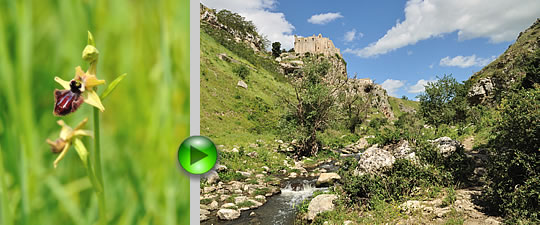 Video - La primavera nel Parco delle Chiese Rupestri di Matera