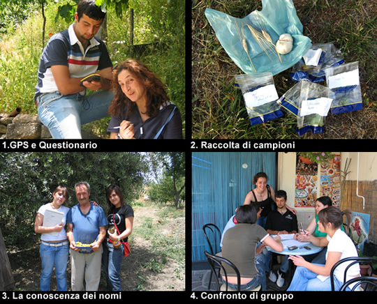 biodiversitamontagnamaterana02 image