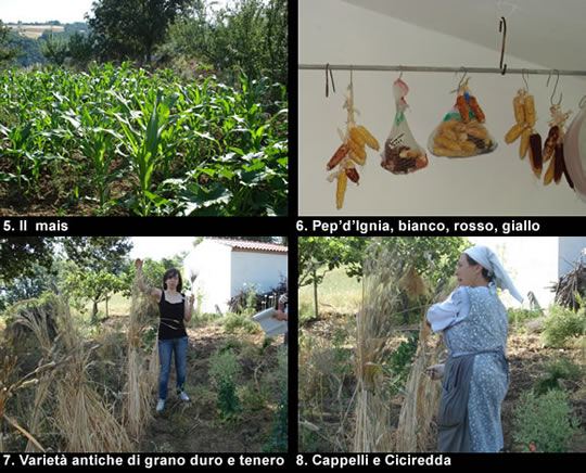 biodiversitamontagnamaterana04 image