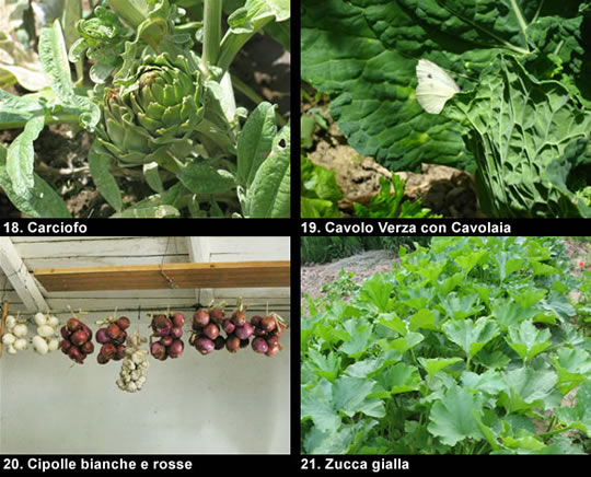 biodiversitamontagnamaterana07 image
