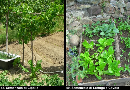 biodiversitamontagnamaterana09 image