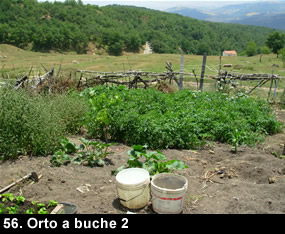 biodiversitamontagnamaterana09 image
