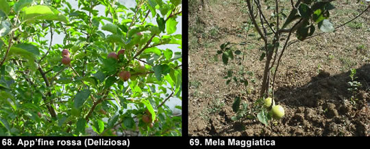 biodiversitamontagnamaterana12 image