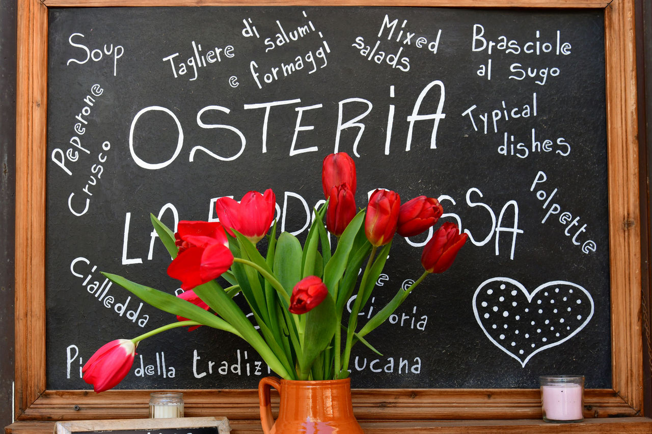 Ristorante La Fedda Rossa - Matera