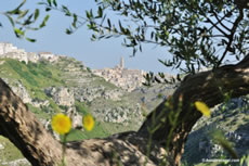 Matera: il paesaggio dei Sassi dal Parco della Murgia Materana