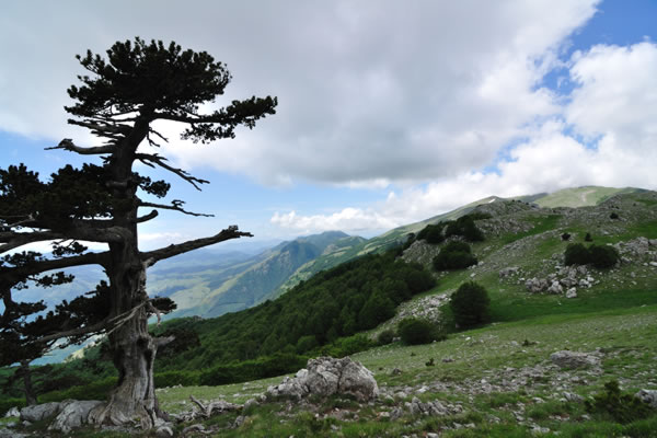 parco nazionale del pollino