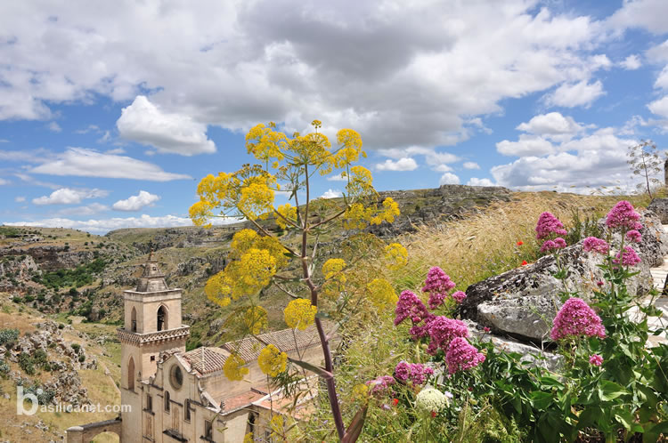 Santa Maria de Idris