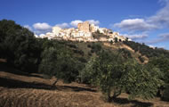 campanaccisanmauroforte image