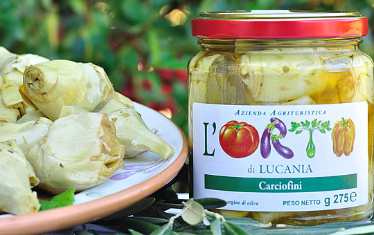 carciofini_ortodilucania image