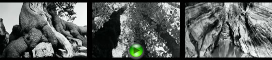 Guarda il video del Pollino di Gaetano Plasmati image