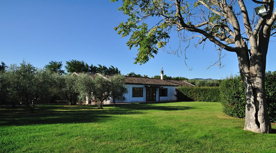 ortodilucania_ristorante image