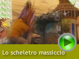 scheletro_massiccio image