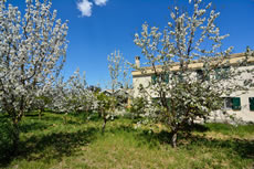 Agriturismo Colle Igino - Matera
