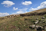 Azienda agricola - Agriturismo La Dimora dei Cavalieri - Vaglio Basilicata