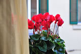 Donna Eleonora - Bed and Breakfast a Matera