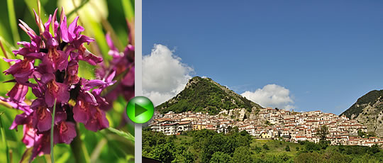 Castelsaraceno - Guarda il video image
