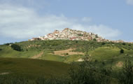 collina_materana image