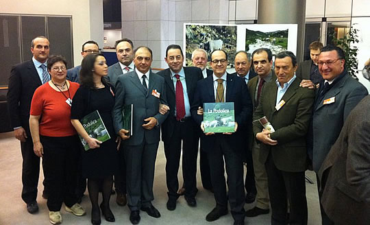 Mostra Podolica Lucana a Bruxelles image
