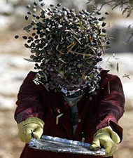 Earth Day image