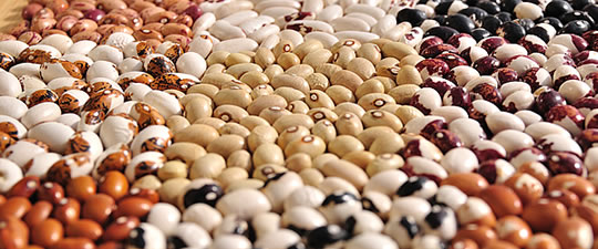 Fagioli di Sarconi image