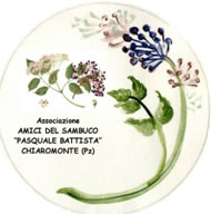 Amici del Sambuco - Chiaromonte (PZ) image