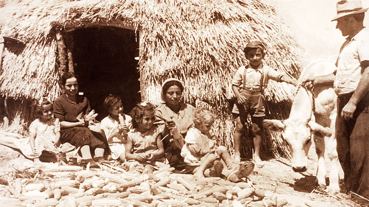 Azienda Agricola Cetani - Storia image