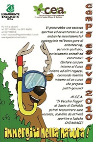 Campi estivi 2010 image