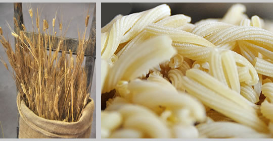 pasta_di_matera_mostra_cciaa_mt image