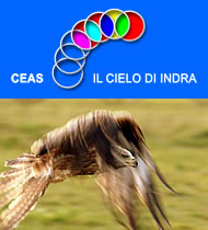 calendario_ceas_latronico image
