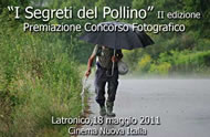Concorso fotografico: I Segreti del Pollino image