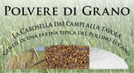 Festa delle Bionde image