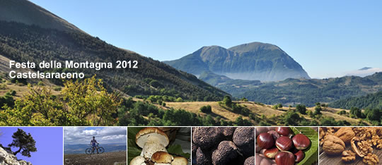 castelsaraceno_festadellamontagna_2012 image