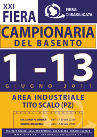 Fiera Campionaria del Basento image