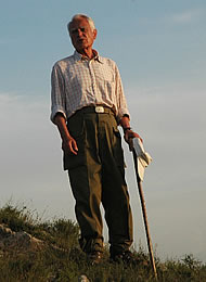 mario_tommaselli image