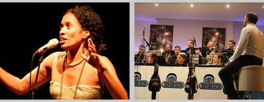 Rosa Emilia Dias - Ljp Big Band image