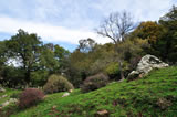 Geomorfologia - Parco Gallipoli Cognato Piccole Dolomiti Lucane