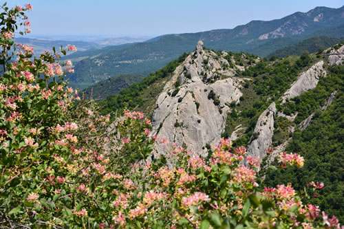 The Via Ferrata Salemm